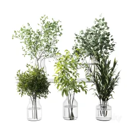 Collection green plants bouquet indoor